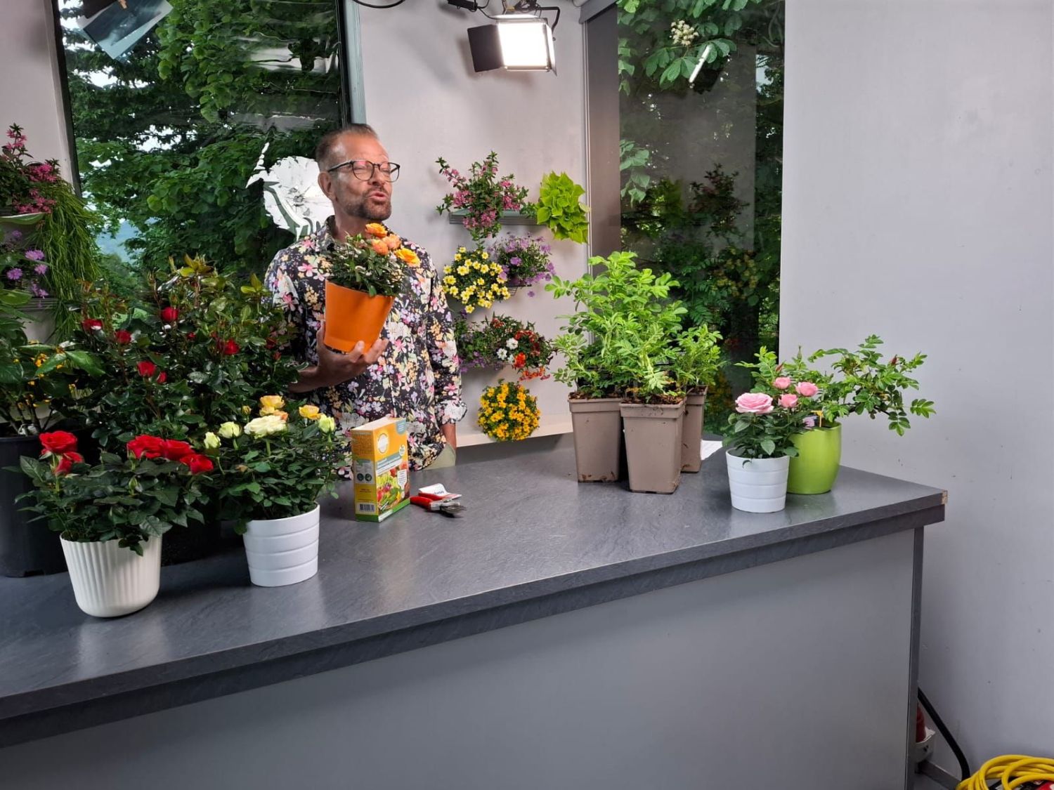 Das Geheimnis gesunder und schöner Rosen