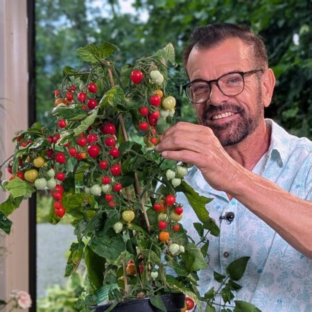 Der Paradeisergarten