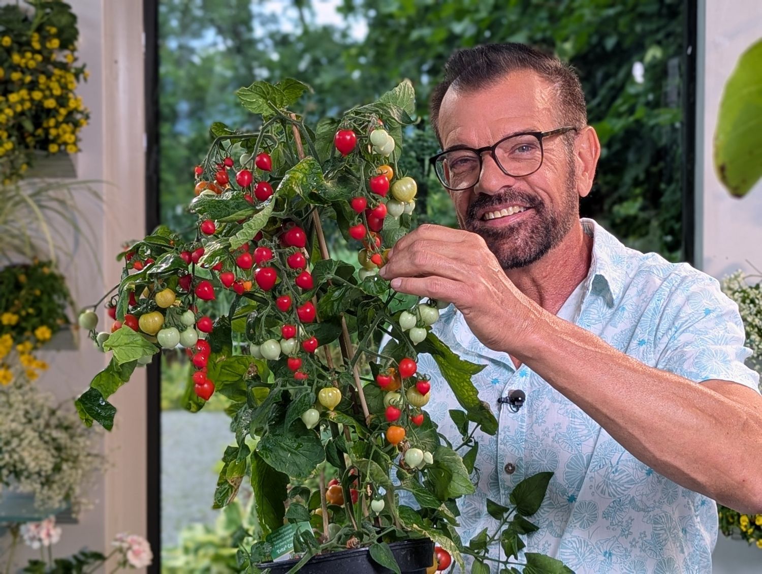 Der Paradeisergarten