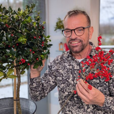 Minikoniferen - nachhaltige Weihnachtsdekoration