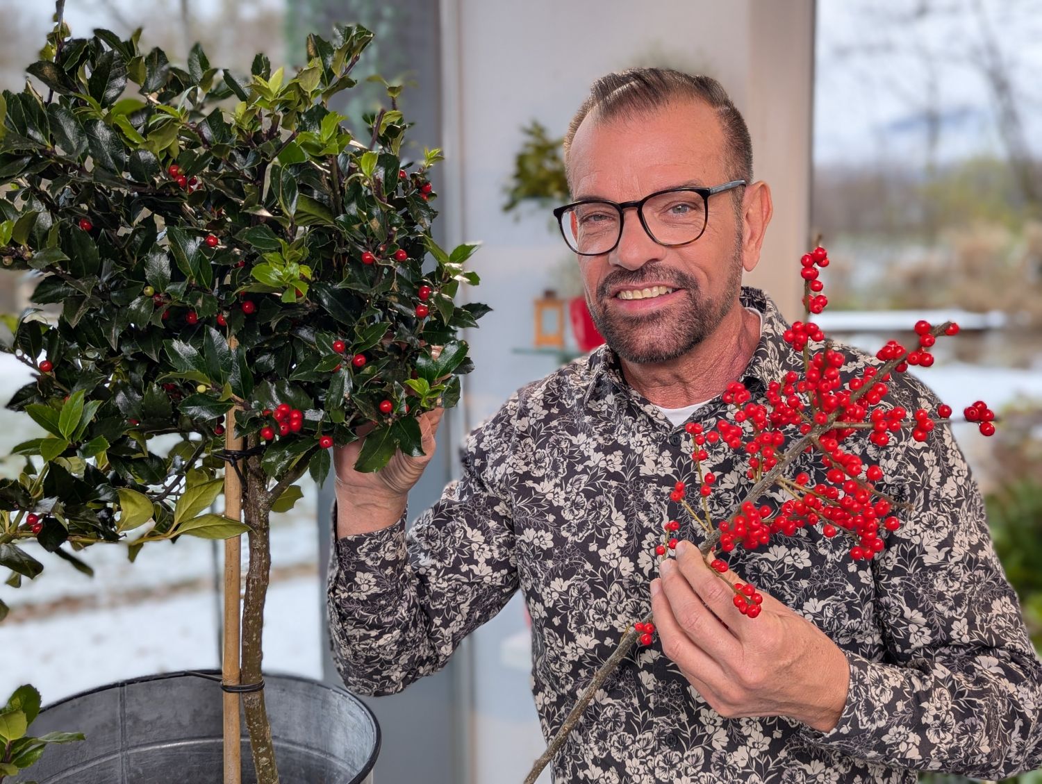 Minikoniferen - nachhaltige Weihnachtsdekoration